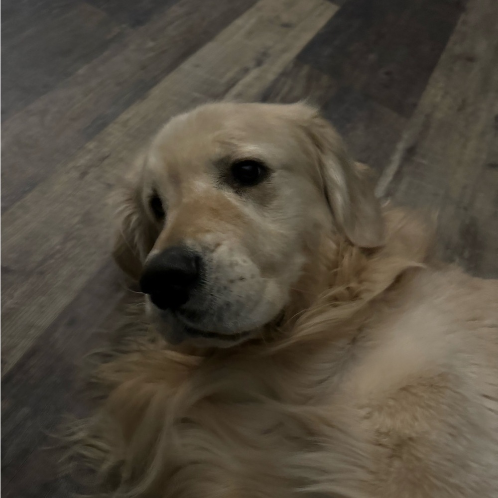 Meet your Posher, Chris